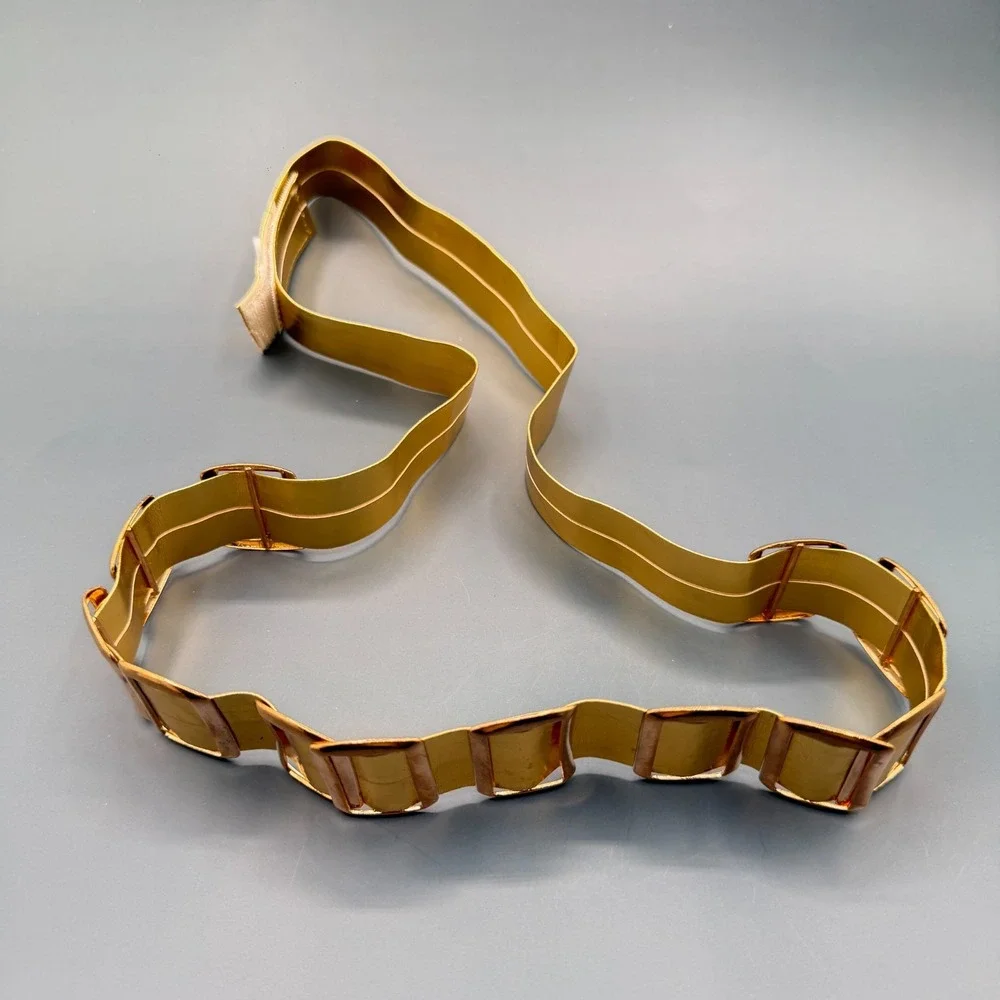 Gold Tone Wide Waist Belt Rectangular Accents Statement Vintage Retro Costume